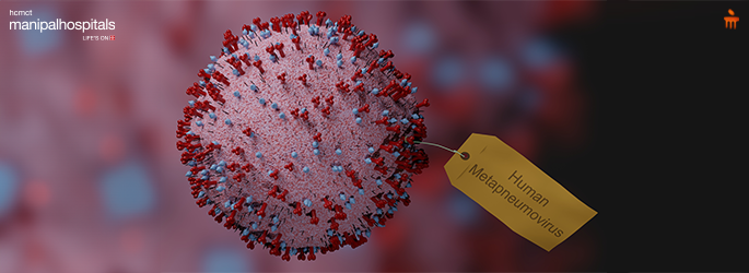 Battling Human Metapneumovirus Insights