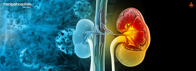 Hyperuricemia and Chronic Kidney Disease (CKD): Is There A Link?