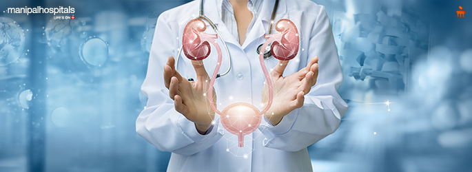 The Role of Kidneys: Why They Are Essential for Your Health