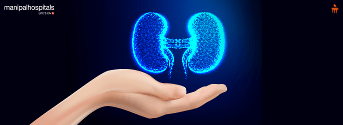 How A Kidney Specialist Protects And Preserves The Health Of Your Kidneys   Associates in Nephrology PC