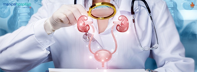 Know Your Kidney's Working Efficiency