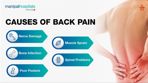 Back Pain Causes Symptoms and Treatment