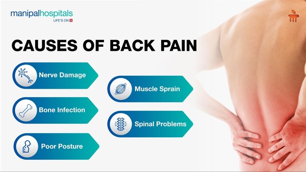 Causes of Back Pain