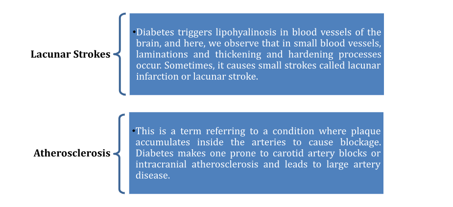 How Does Diabetes Contribute to Stroke?