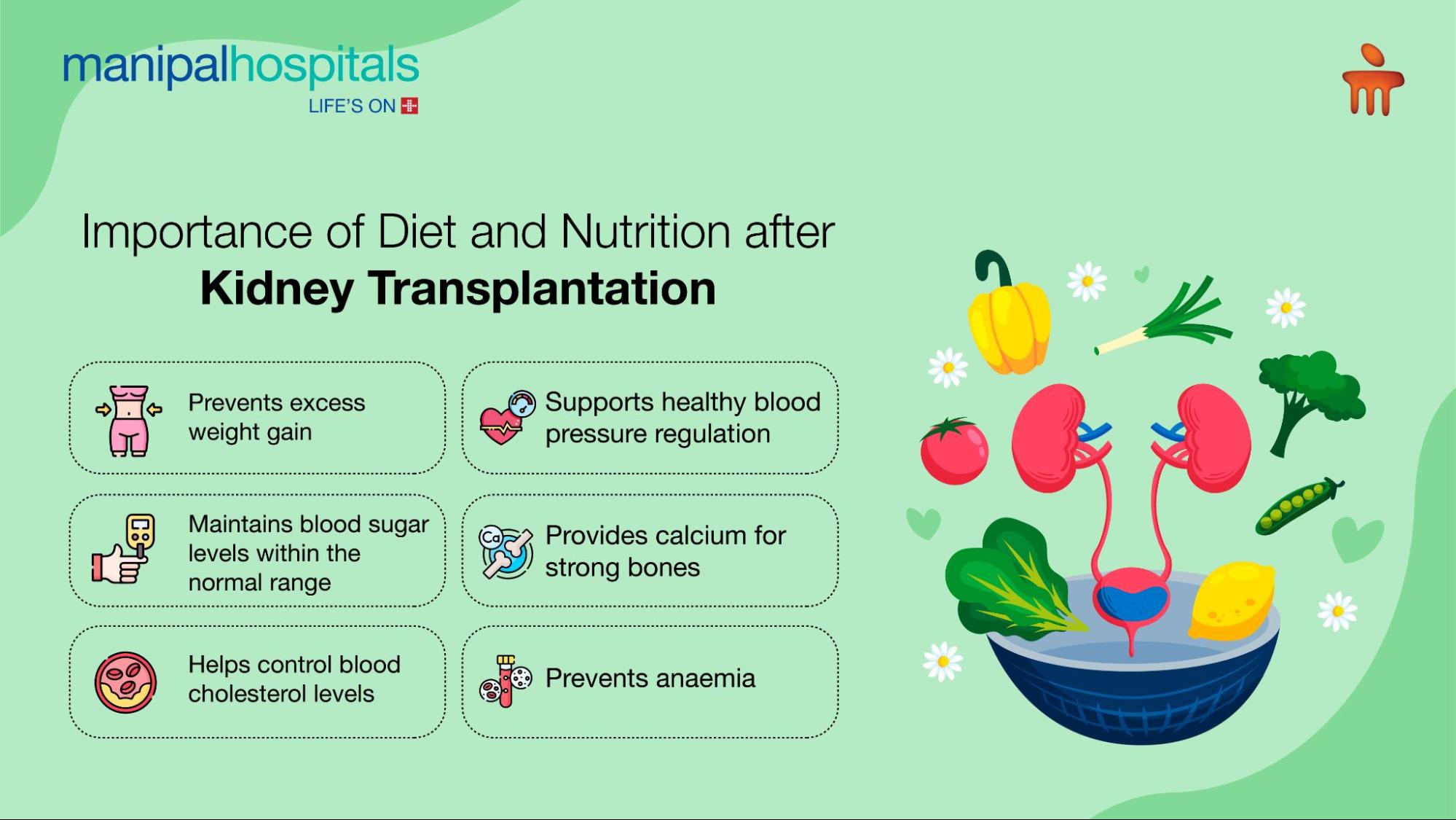 Importance of diet and nutrition after kidney transplant