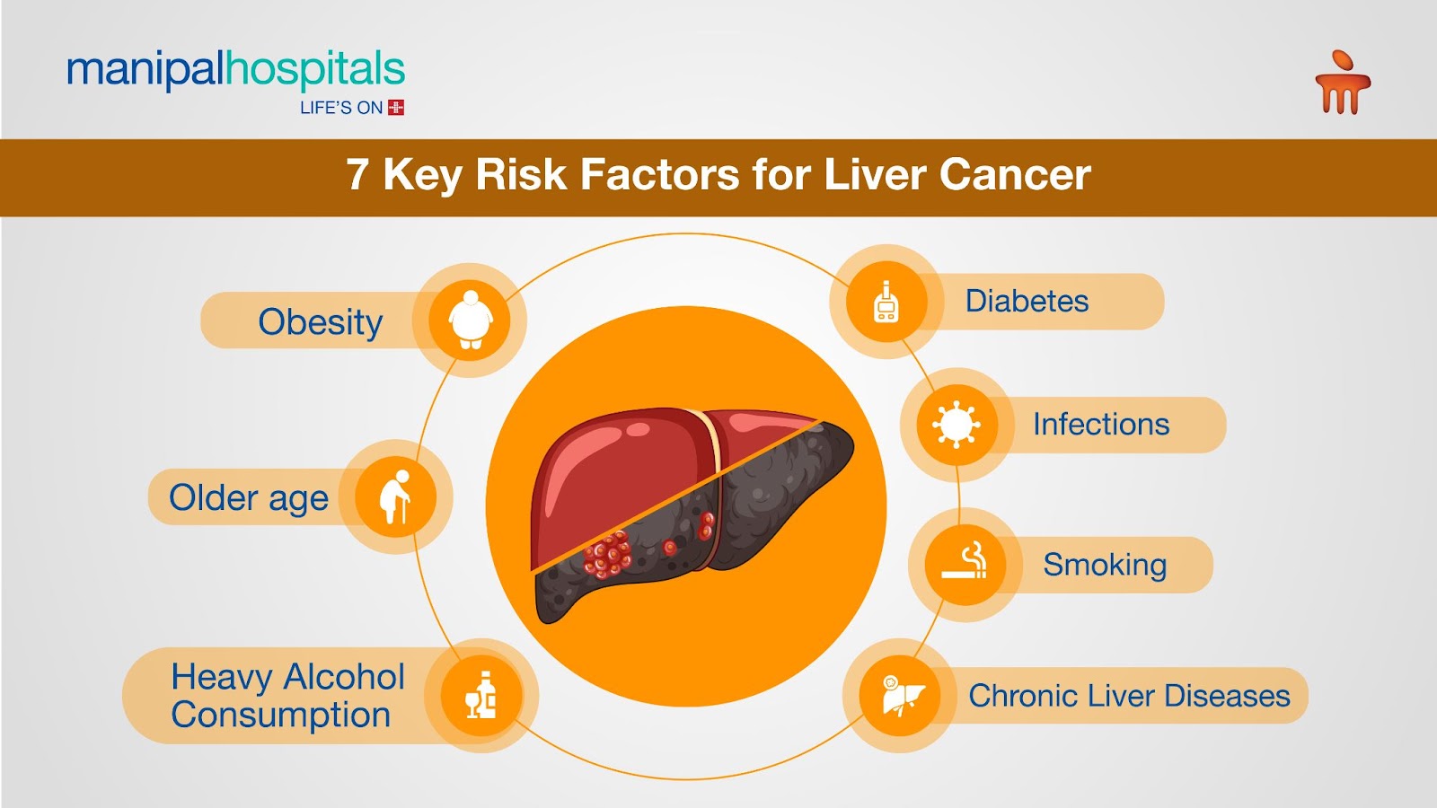 Key Risk Factors for Liver Cancer