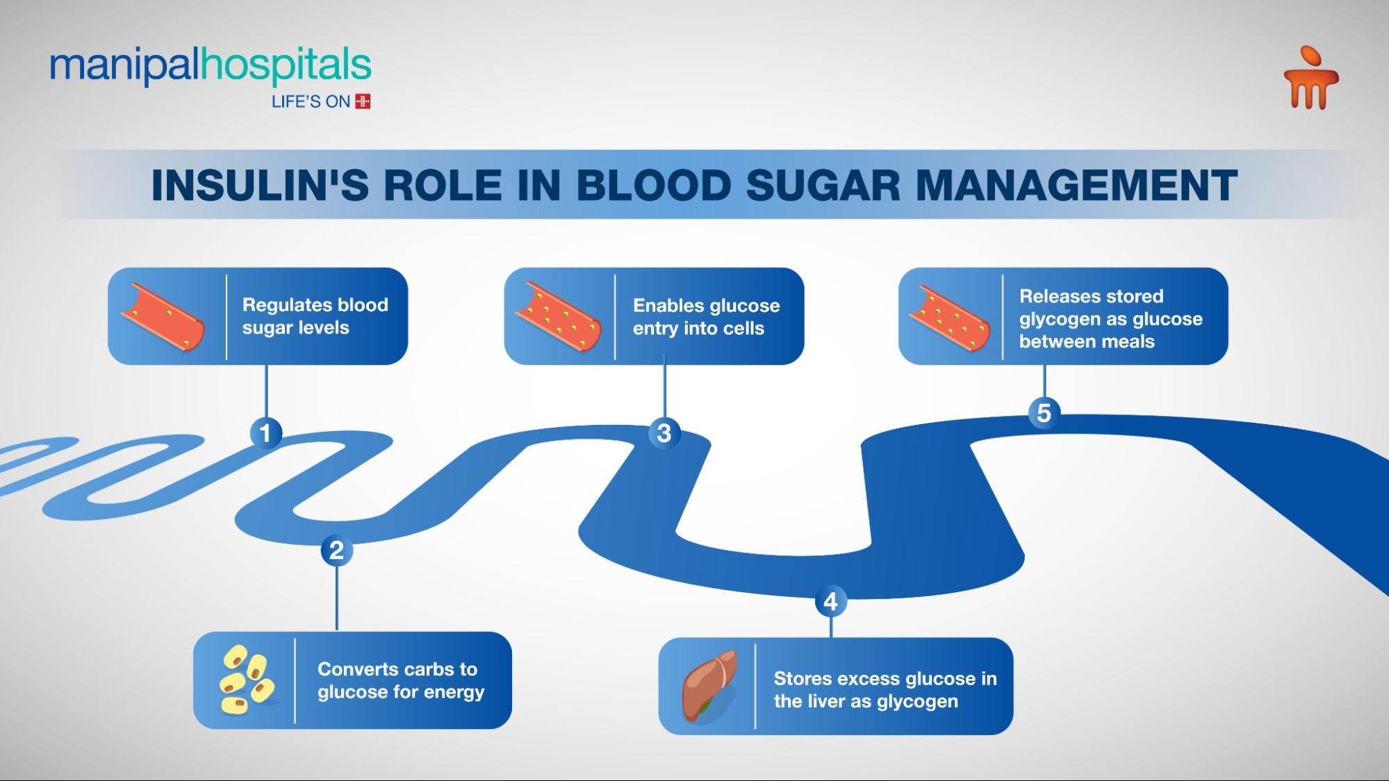 Role of Insulin in Controlling Blood Sugar in Diabetes